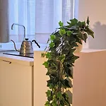 N 5 Bed & Breakfast Pompei